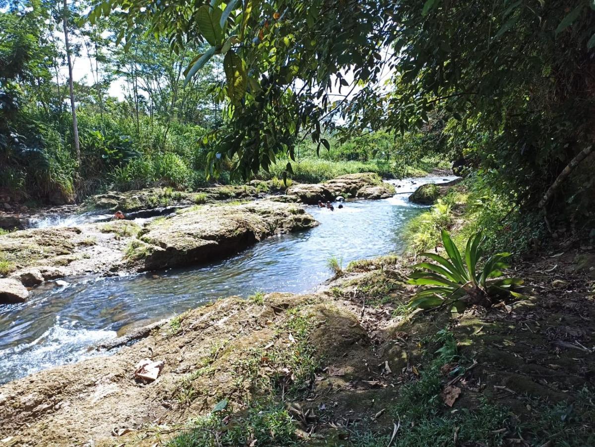 Villa Ceiba La Fortuna Екстериор снимка
